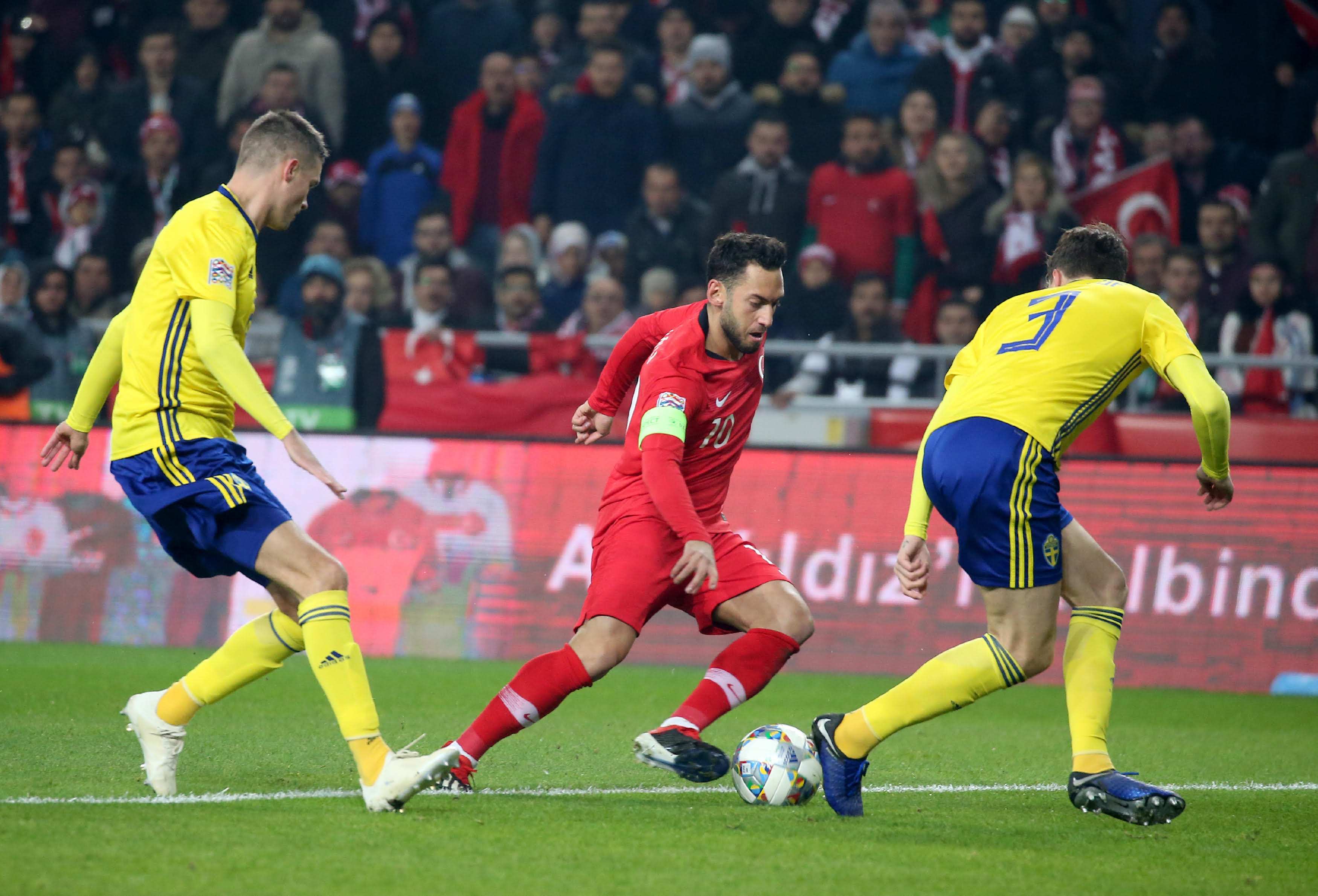 他们本赛季 他们本赛季