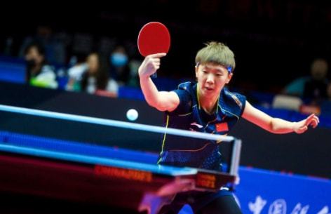 太阳阵容 太阳阵容