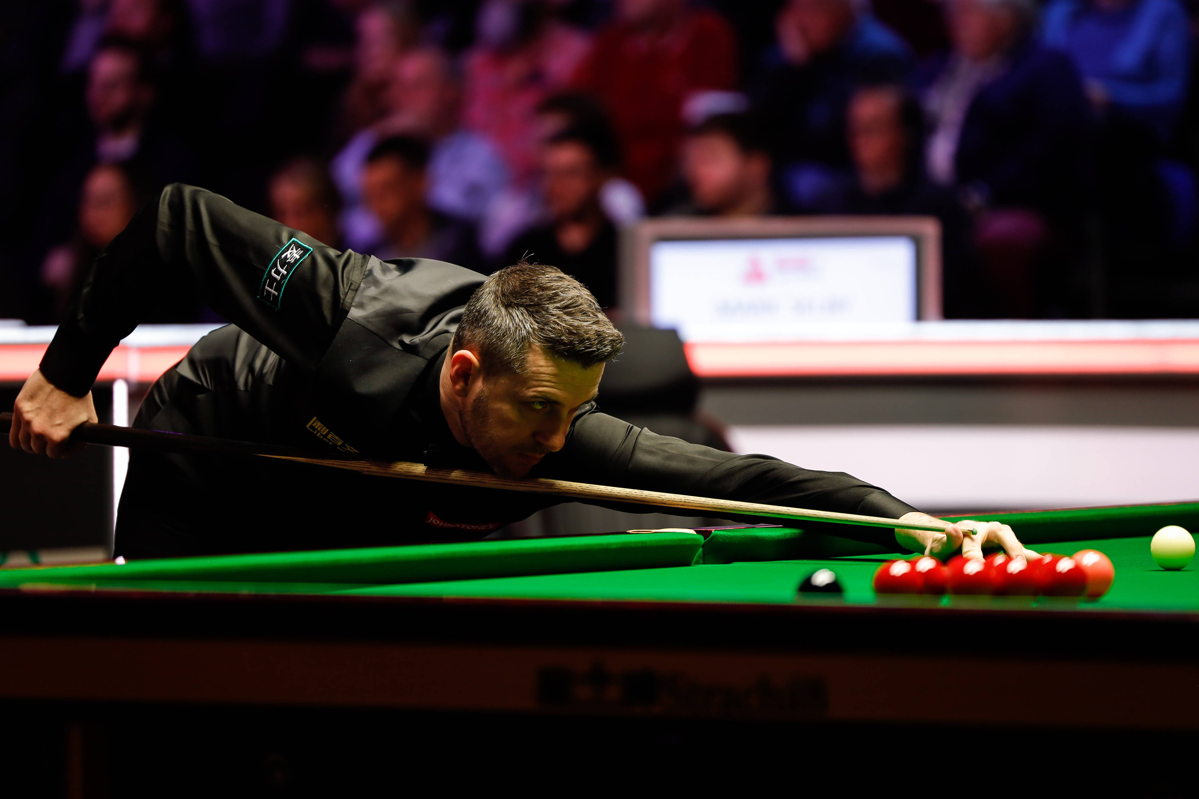 龙的81分 龙的81分