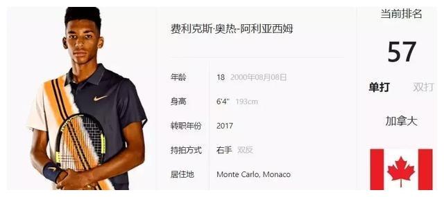 杨翰森就展 杨翰森就展